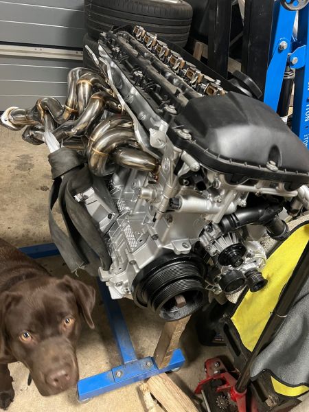 Marek, Strzyżewice Marek, Strzyżewice