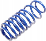 Ta Technix zawieszenie gwintowane pasujące do Audi A3 (8L) / Seat Leon, Toledo II (1M) / Skoda Octavia I (1U) / VW Bora, Golf IV (1J), New Beetle (9C)