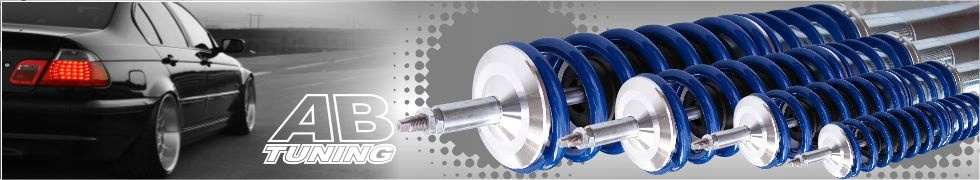 TA Technix zawieszenie gwintowane pasujące do Audi A3 / Seat Leon, Toledo II / Skoda Octavia I / VW Bora, Golf IV, New Beetle